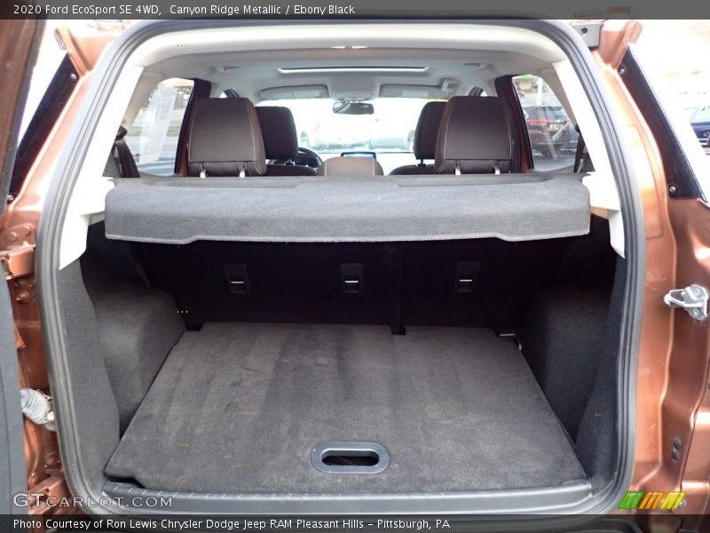 Canyon Ridge Metallic / Ebony Black 2020 Ford EcoSport SE 4WD