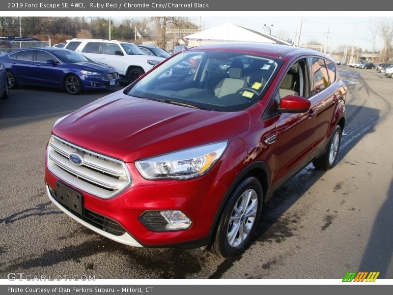 Ruby Red / Chromite Gray/Charcoal Black 2019 Ford Escape SE 4WD