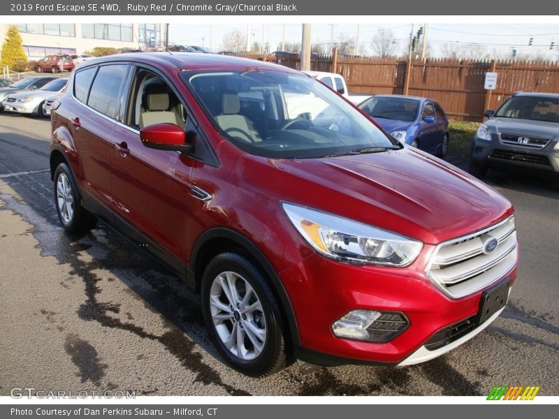 Ruby Red / Chromite Gray/Charcoal Black 2019 Ford Escape SE 4WD