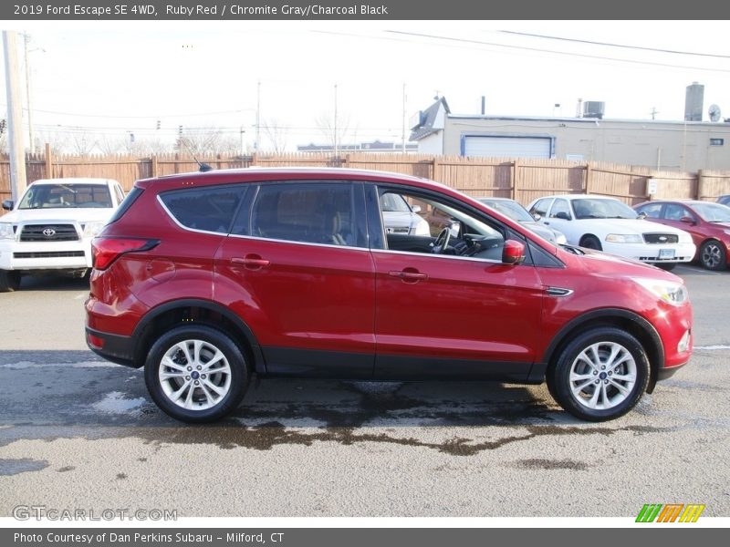 Ruby Red / Chromite Gray/Charcoal Black 2019 Ford Escape SE 4WD