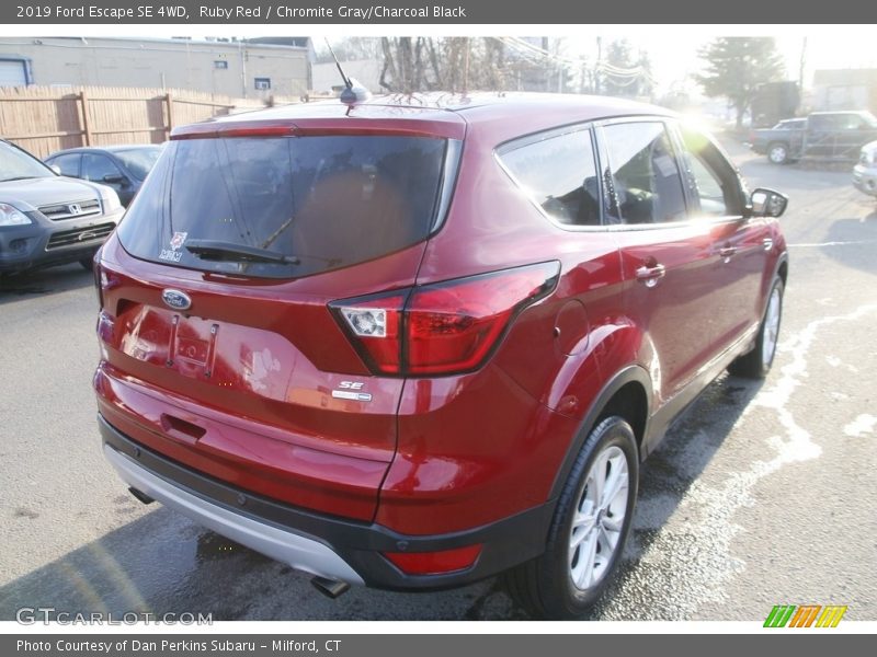 Ruby Red / Chromite Gray/Charcoal Black 2019 Ford Escape SE 4WD