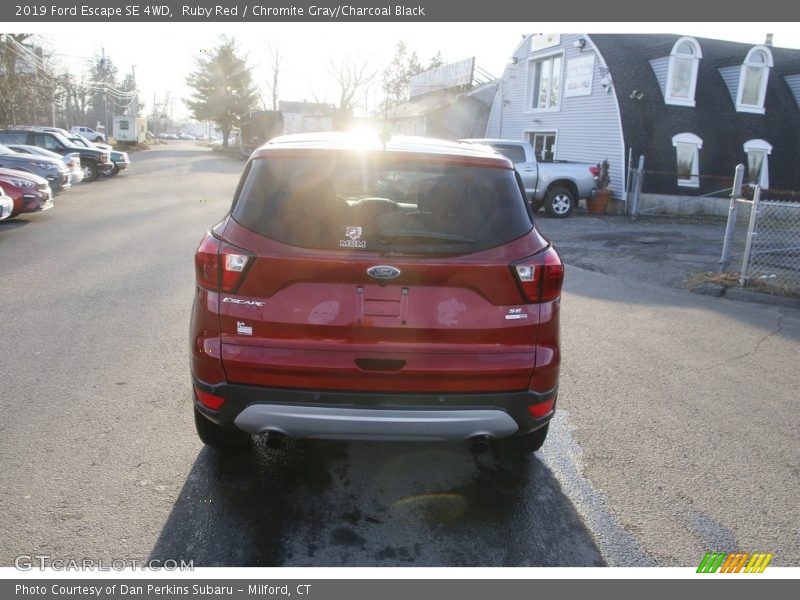 Ruby Red / Chromite Gray/Charcoal Black 2019 Ford Escape SE 4WD