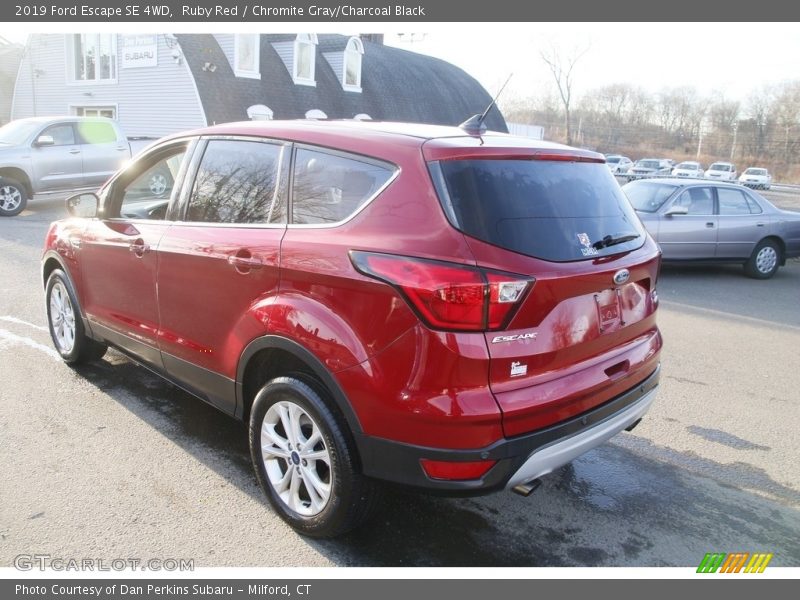 Ruby Red / Chromite Gray/Charcoal Black 2019 Ford Escape SE 4WD