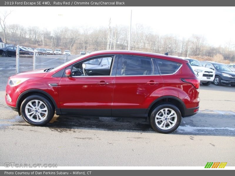 Ruby Red / Chromite Gray/Charcoal Black 2019 Ford Escape SE 4WD