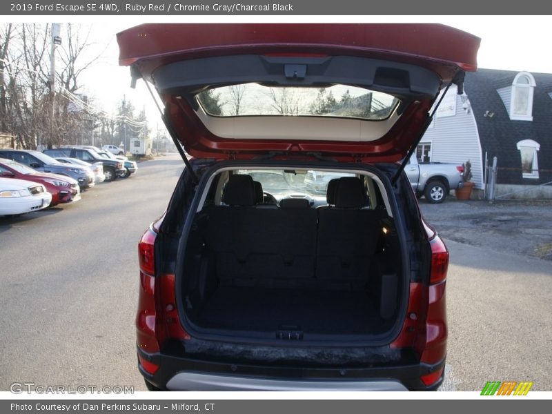 Ruby Red / Chromite Gray/Charcoal Black 2019 Ford Escape SE 4WD