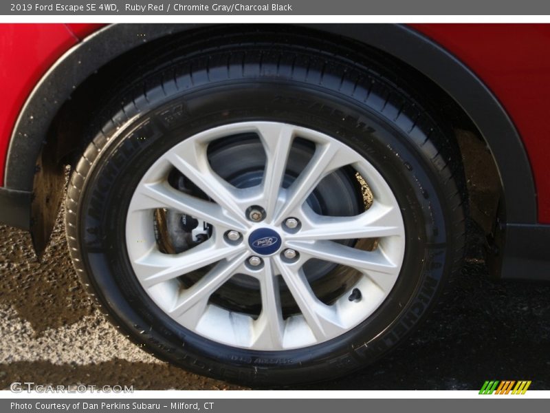 Ruby Red / Chromite Gray/Charcoal Black 2019 Ford Escape SE 4WD