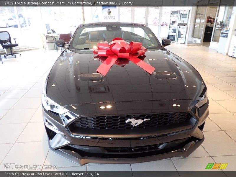 Shadow Black / Ebony 2022 Ford Mustang Ecoboost Premium Convertible