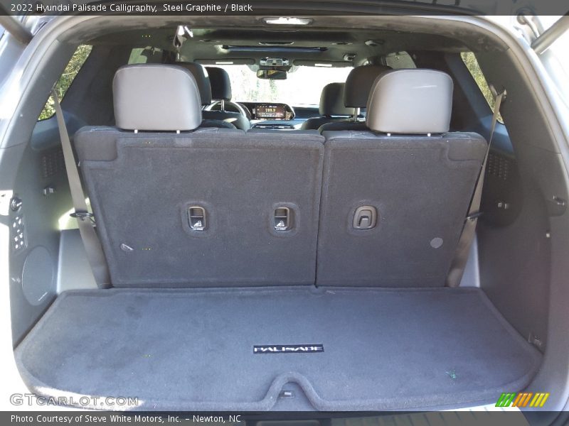  2022 Palisade Calligraphy Trunk