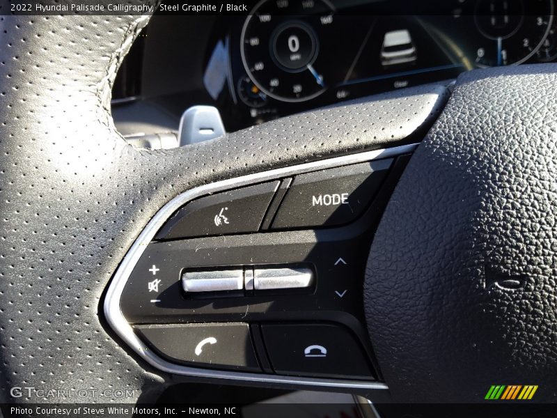  2022 Palisade Calligraphy Steering Wheel