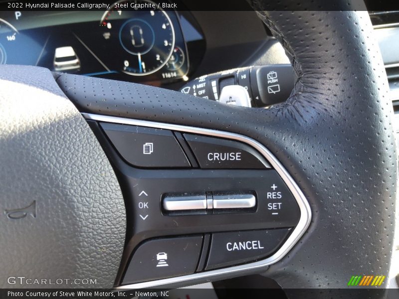 2022 Palisade Calligraphy Steering Wheel