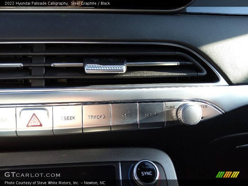 Steel Graphite / Black 2022 Hyundai Palisade Calligraphy