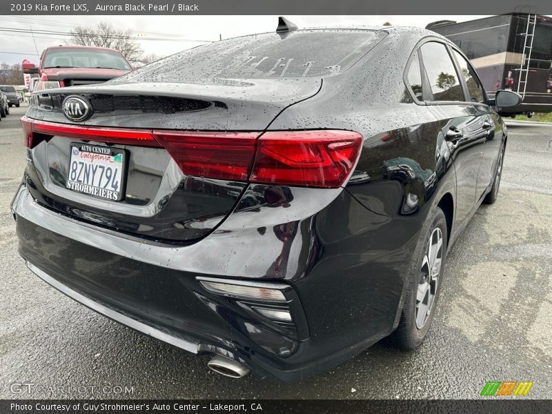 Aurora Black Pearl / Black 2019 Kia Forte LXS