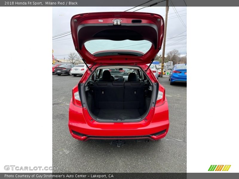  2018 Fit Sport Trunk