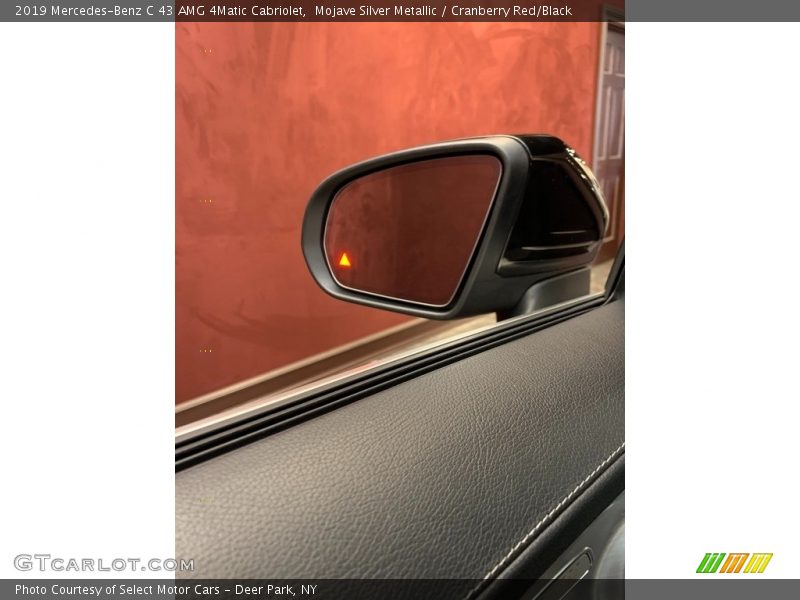 Mojave Silver Metallic / Cranberry Red/Black 2019 Mercedes-Benz C 43 AMG 4Matic Cabriolet