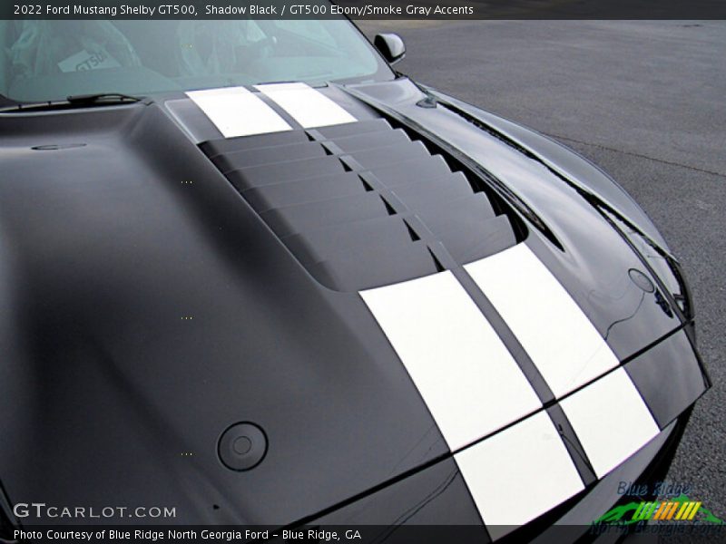 Shadow Black / GT500 Ebony/Smoke Gray Accents 2022 Ford Mustang Shelby GT500