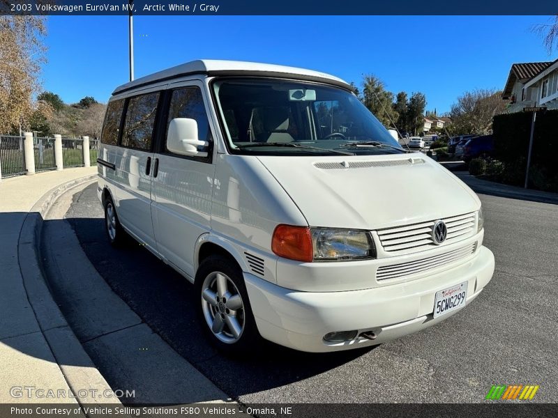 Arctic White / Gray 2003 Volkswagen EuroVan MV
