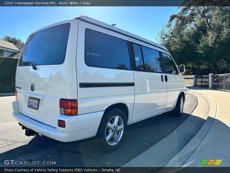 Arctic White / Gray 2003 Volkswagen EuroVan MV