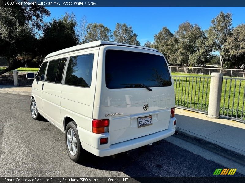 Arctic White / Gray 2003 Volkswagen EuroVan MV
