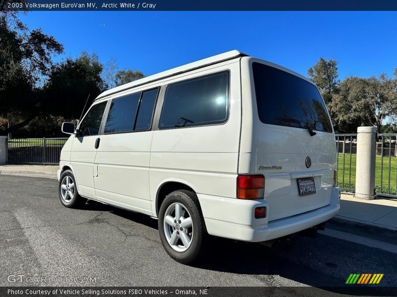 Arctic White / Gray 2003 Volkswagen EuroVan MV