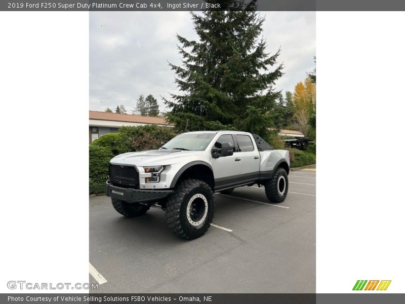 Ingot Silver / Black 2019 Ford F250 Super Duty Platinum Crew Cab 4x4