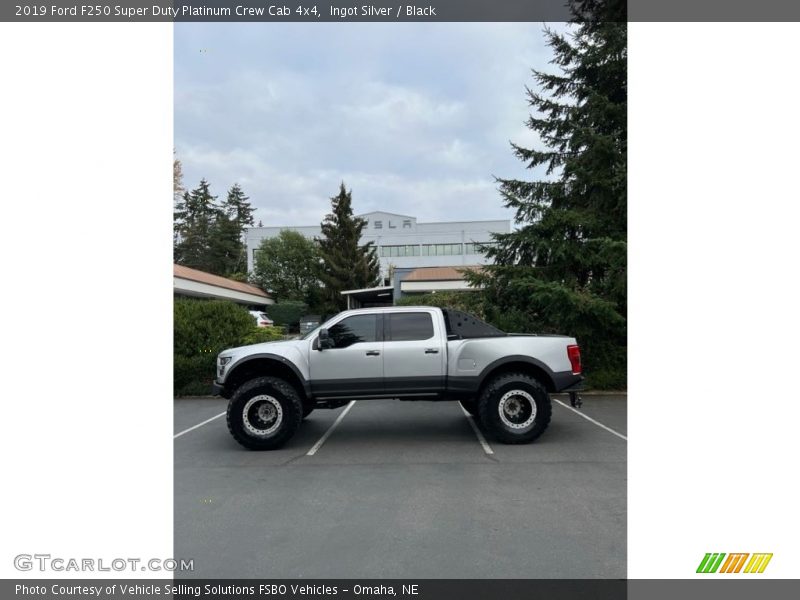 Ingot Silver / Black 2019 Ford F250 Super Duty Platinum Crew Cab 4x4