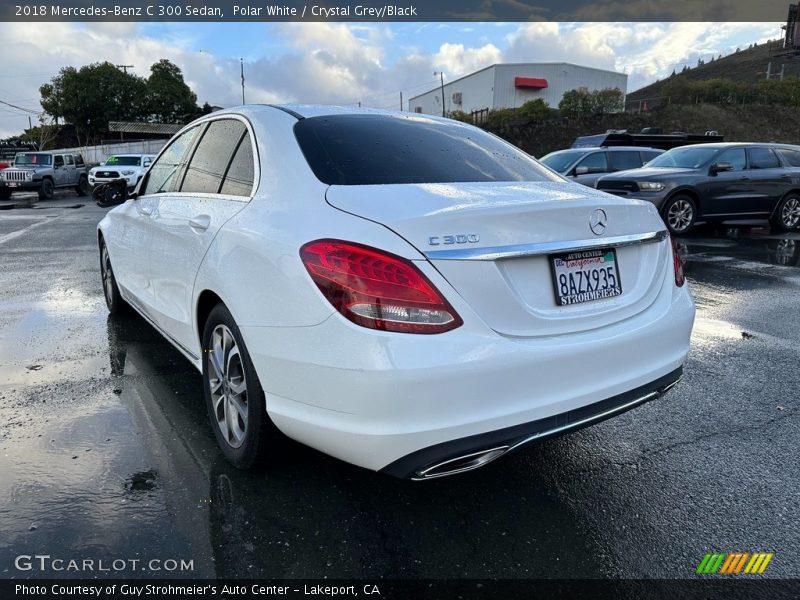 Polar White / Crystal Grey/Black 2018 Mercedes-Benz C 300 Sedan