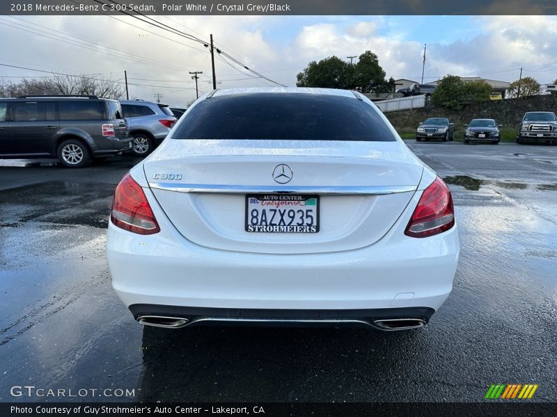 Polar White / Crystal Grey/Black 2018 Mercedes-Benz C 300 Sedan