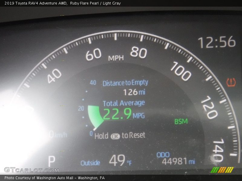 Ruby Flare Pearl / Light Gray 2019 Toyota RAV4 Adventure AWD