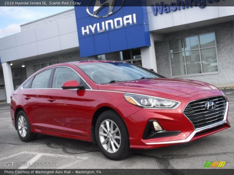 Scarlet Red / Gray 2019 Hyundai Sonata SE