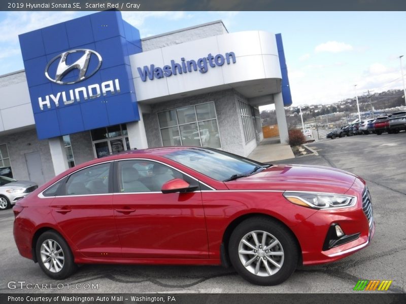 Scarlet Red / Gray 2019 Hyundai Sonata SE