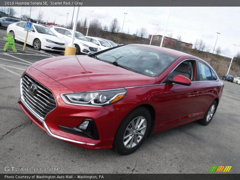 Scarlet Red / Gray 2019 Hyundai Sonata SE