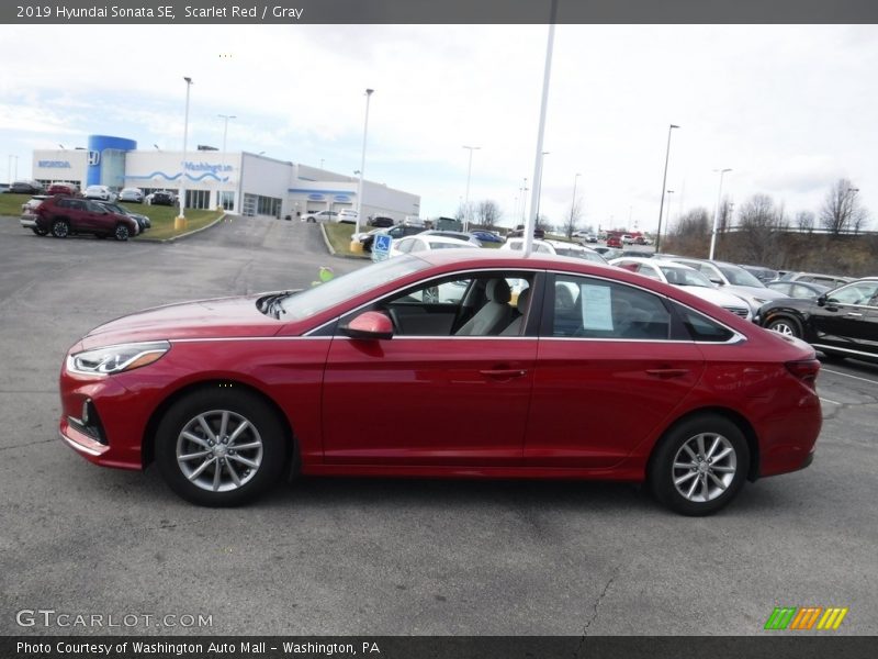 Scarlet Red / Gray 2019 Hyundai Sonata SE