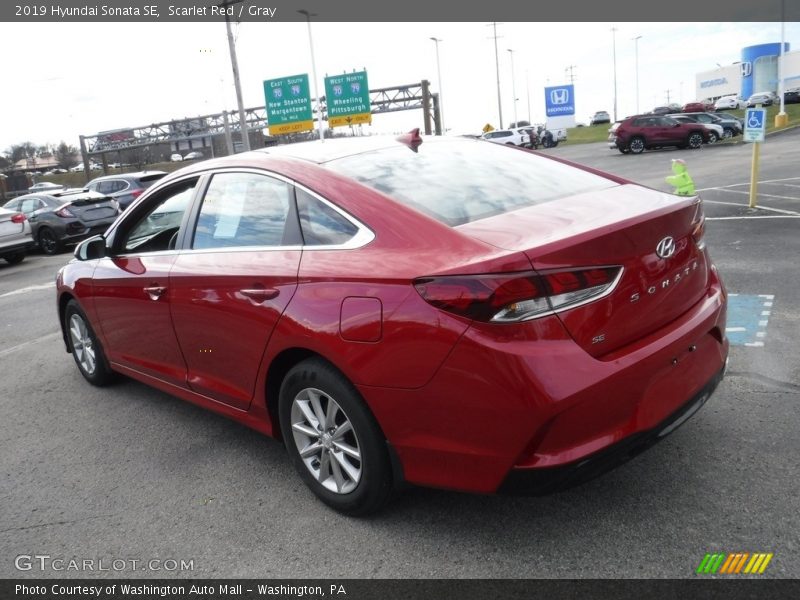 Scarlet Red / Gray 2019 Hyundai Sonata SE