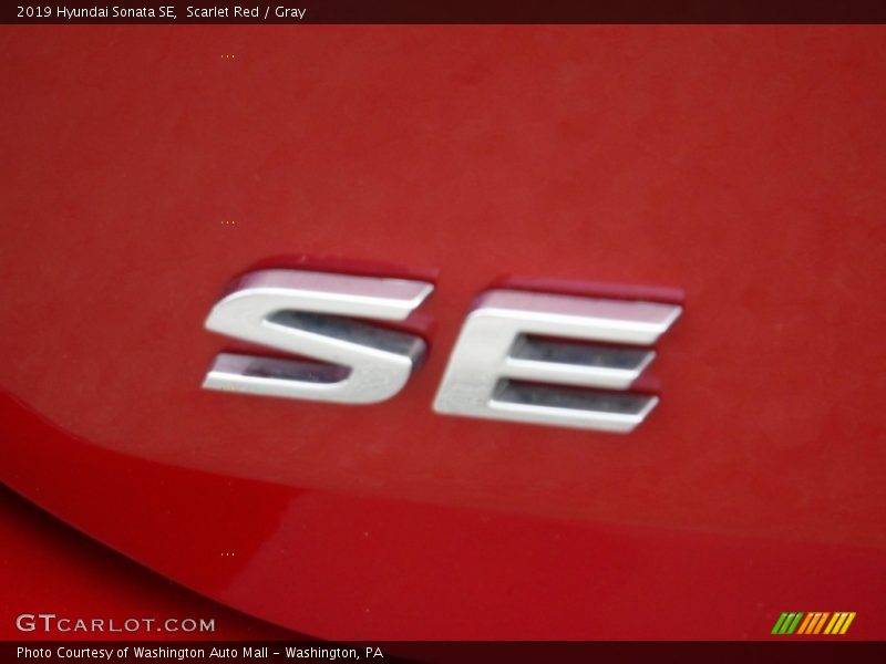 Scarlet Red / Gray 2019 Hyundai Sonata SE