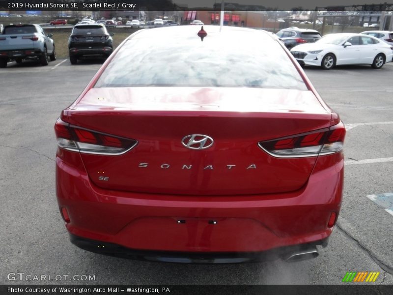 Scarlet Red / Gray 2019 Hyundai Sonata SE