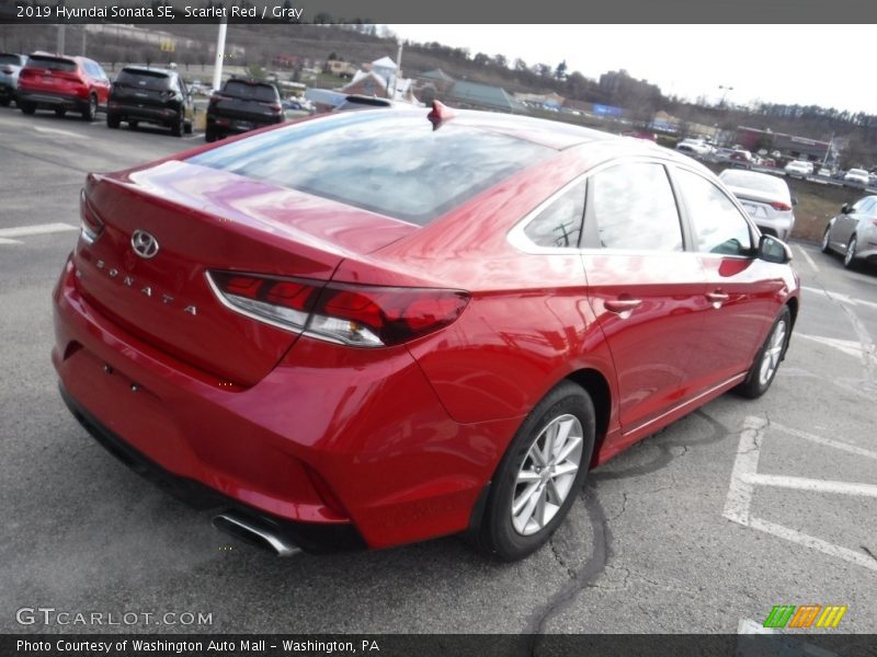 Scarlet Red / Gray 2019 Hyundai Sonata SE