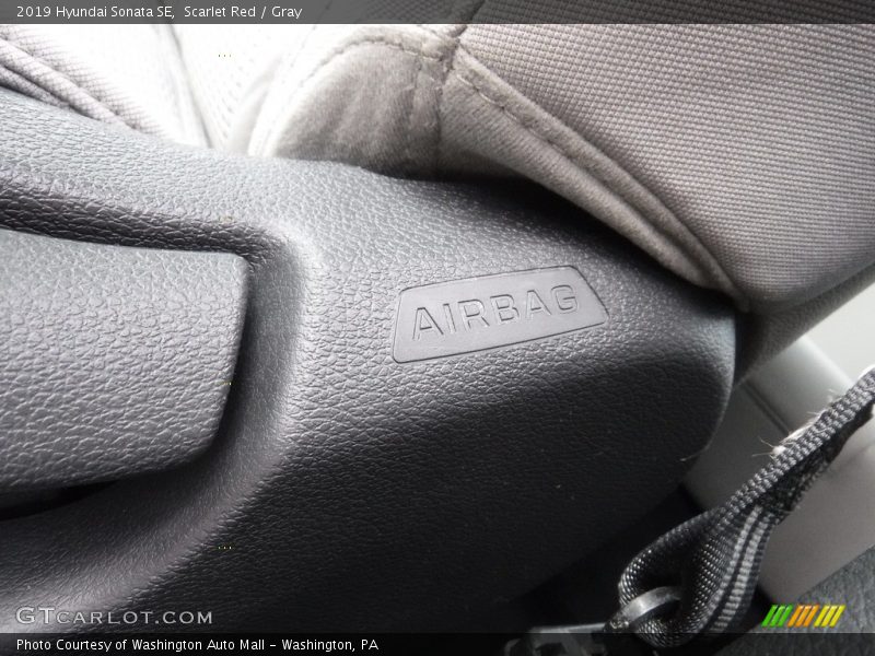 Scarlet Red / Gray 2019 Hyundai Sonata SE