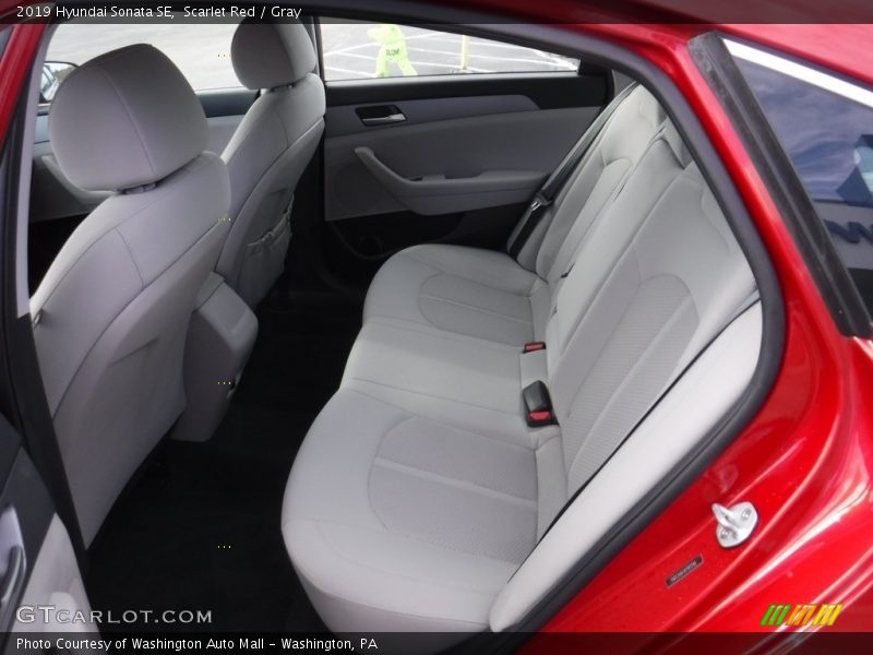 Scarlet Red / Gray 2019 Hyundai Sonata SE