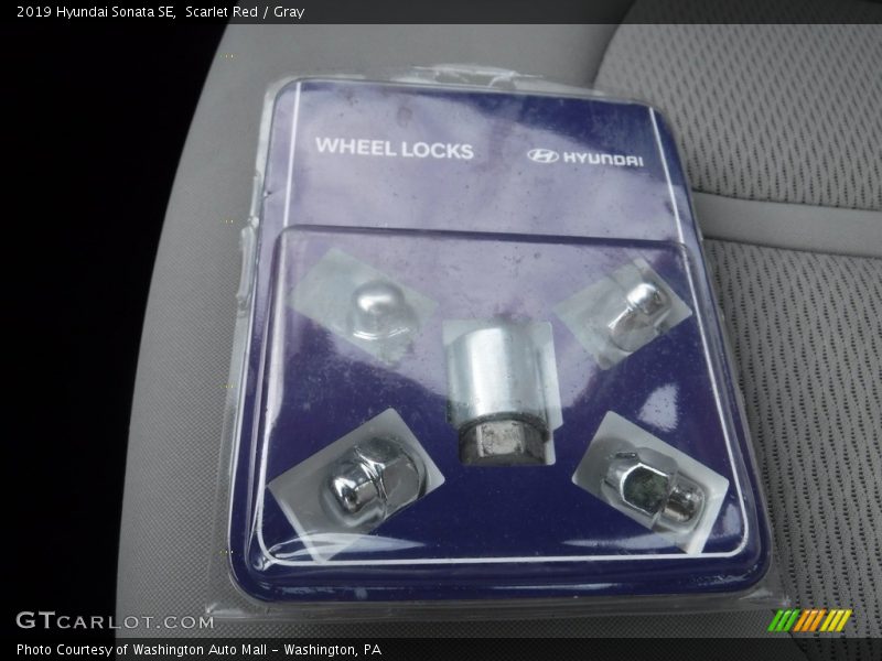 Scarlet Red / Gray 2019 Hyundai Sonata SE