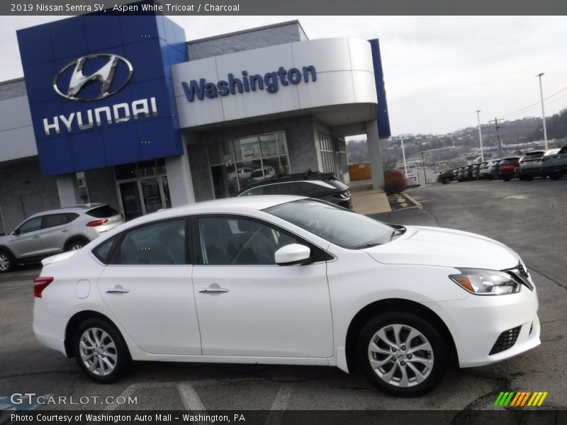 Aspen White Tricoat / Charcoal 2019 Nissan Sentra SV