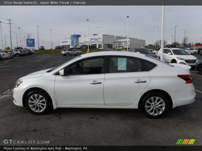 Aspen White Tricoat / Charcoal 2019 Nissan Sentra SV