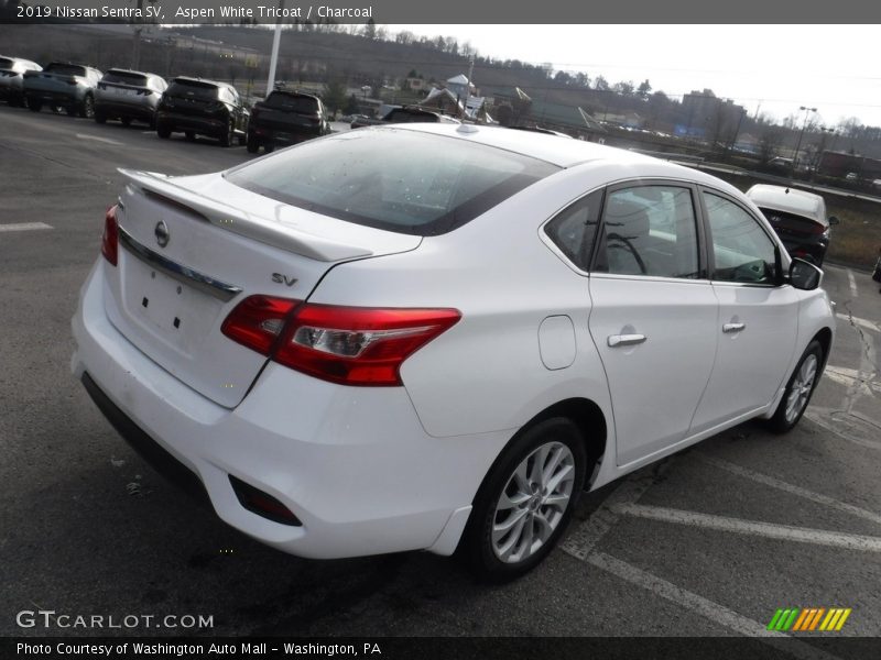 Aspen White Tricoat / Charcoal 2019 Nissan Sentra SV