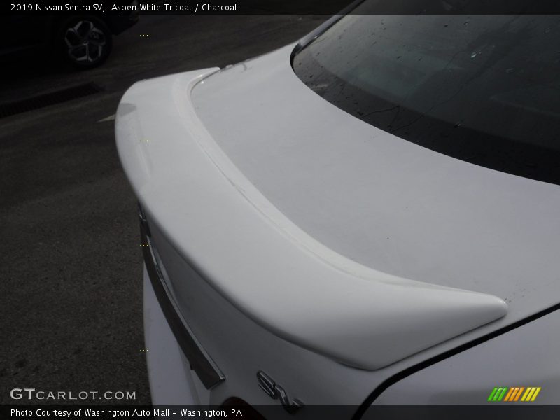 Aspen White Tricoat / Charcoal 2019 Nissan Sentra SV