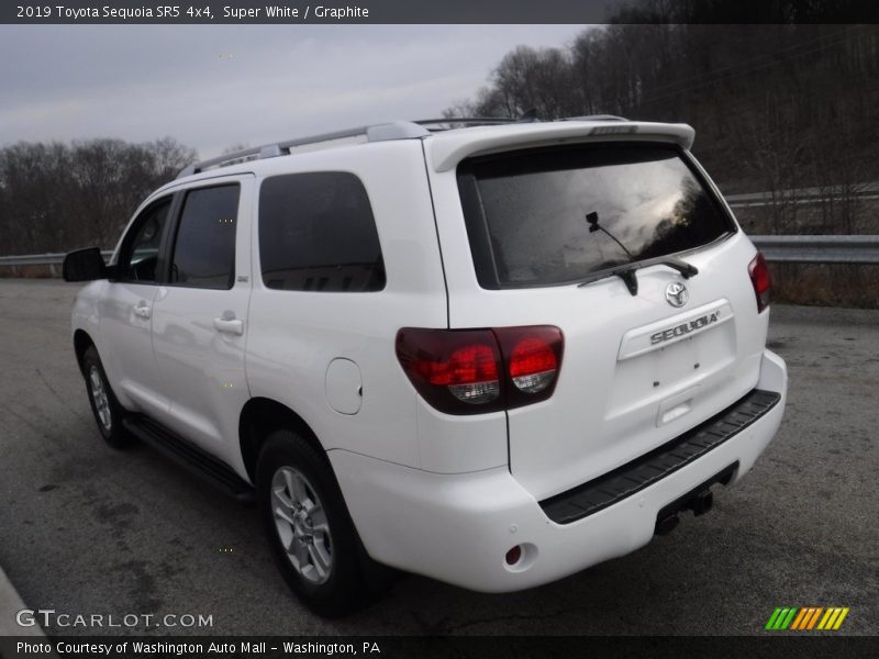 Super White / Graphite 2019 Toyota Sequoia SR5 4x4
