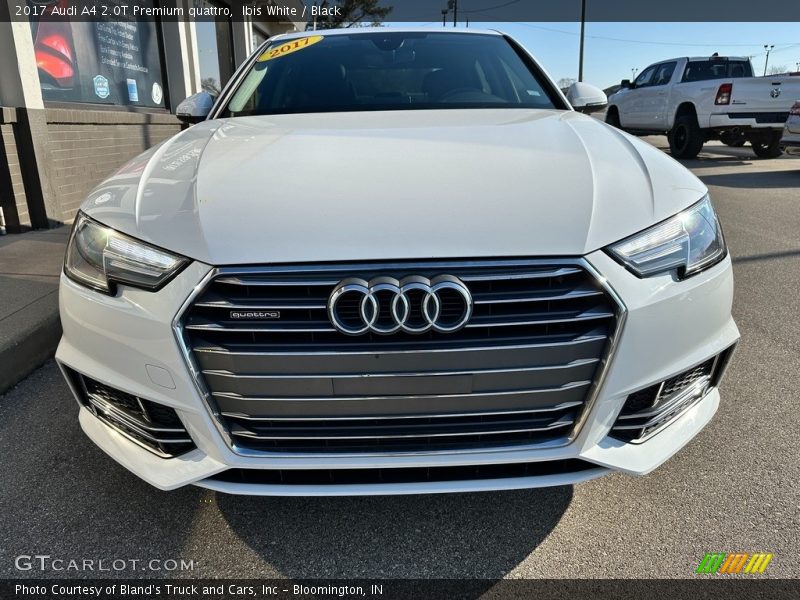 Ibis White / Black 2017 Audi A4 2.0T Premium quattro