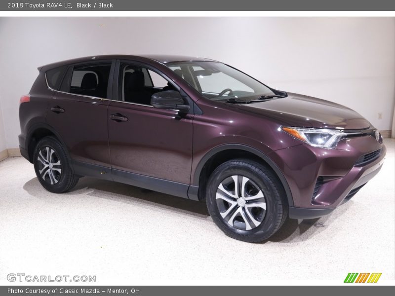 Black / Black 2018 Toyota RAV4 LE