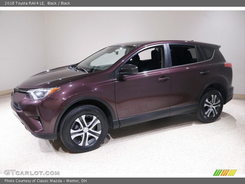 Black / Black 2018 Toyota RAV4 LE