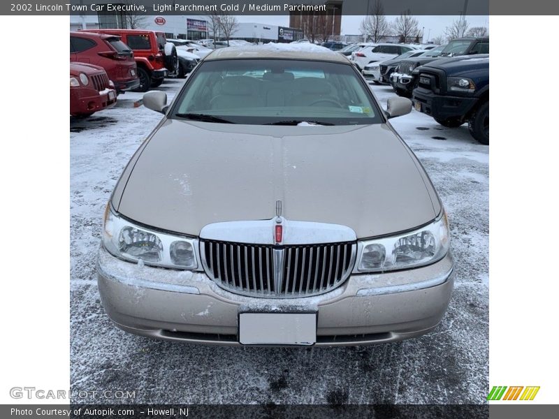Light Parchment Gold / Medium Parchment 2002 Lincoln Town Car Executive