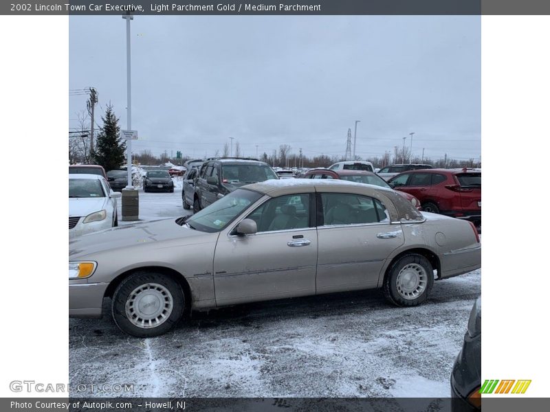 Light Parchment Gold / Medium Parchment 2002 Lincoln Town Car Executive