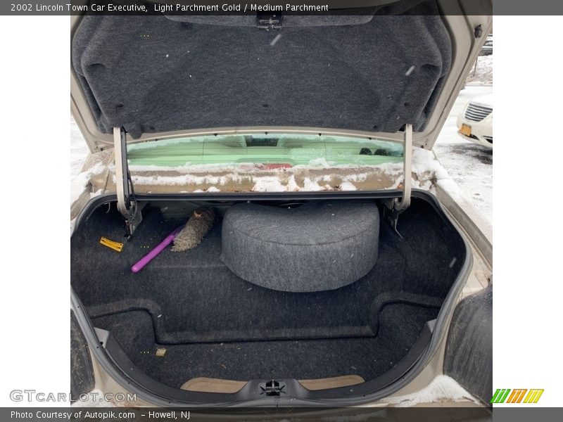 Light Parchment Gold / Medium Parchment 2002 Lincoln Town Car Executive